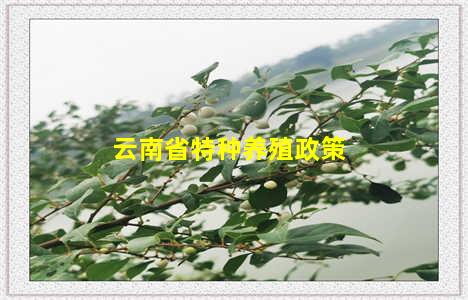 云南省特种养殖政策