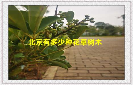 北京有多少种花草树木