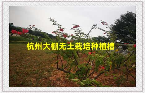 杭州大棚无土栽培种植槽