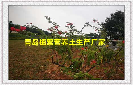 青岛植繁营养土生产厂家