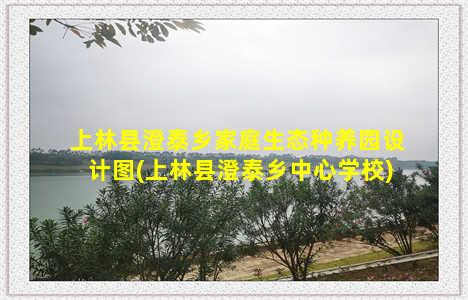 上林县澄泰乡家庭生态种养园设计图(上林县澄泰乡中心学校)