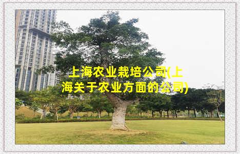 上海农业栽培公司(上海关于农业方面的公司)
