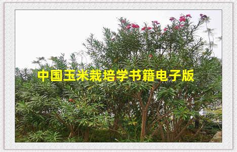 中国玉米栽培学书籍电子版