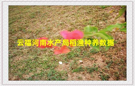 云福河南水产局稻渔种养数据