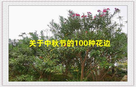 关于中秋节的100种花边