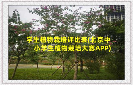 学生植物栽培评比表(北京中小学生植物栽培大赛APP)