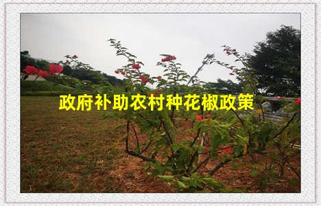 政府补助农村种花椒政策