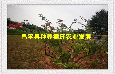 昌平县种养循环农业发展