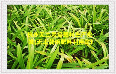 杭州无土栽培肥料生产批发(无土栽培肥料利用率)