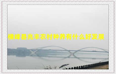 横峰县兆丰农村种养有什么好发展