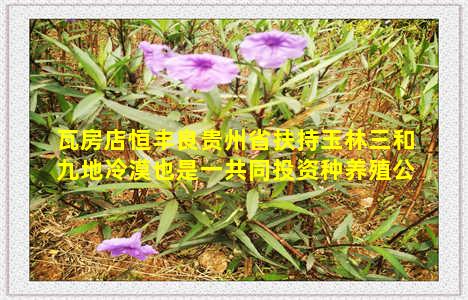 瓦房店恒丰良贵州省扶持玉林三和九地冷漠也是一共同投资种养殖公司简介则么写