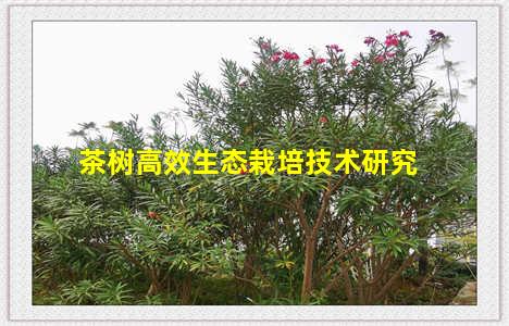 茶树高效生态栽培技术研究